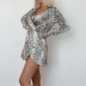 Urban Outfitters Snakeskin Long Sleeve Dress